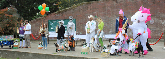 Halloween Pet Parade At Volunteer Park