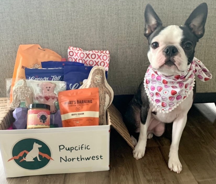 Pupcific Northwest Pup Pack: The Best Toys & Treats