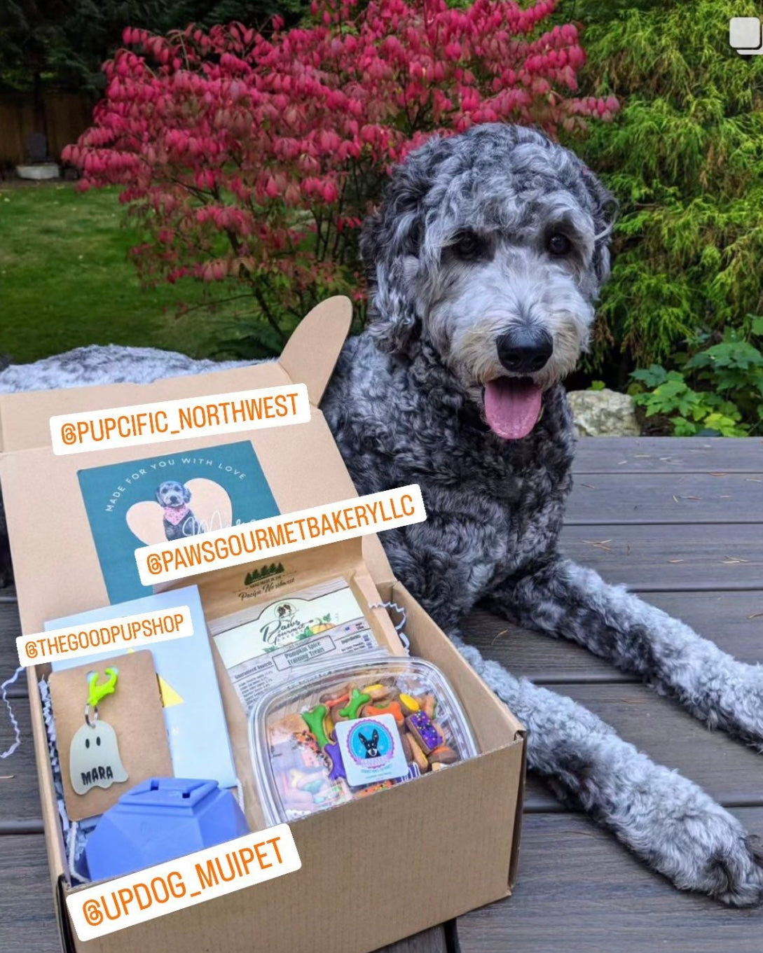 Pupcific Northwest Pup Pack: Local Dog Toys Delivered Monthly.