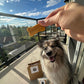 Pupcific Northwest Puppack: The Best Treats  The PNW