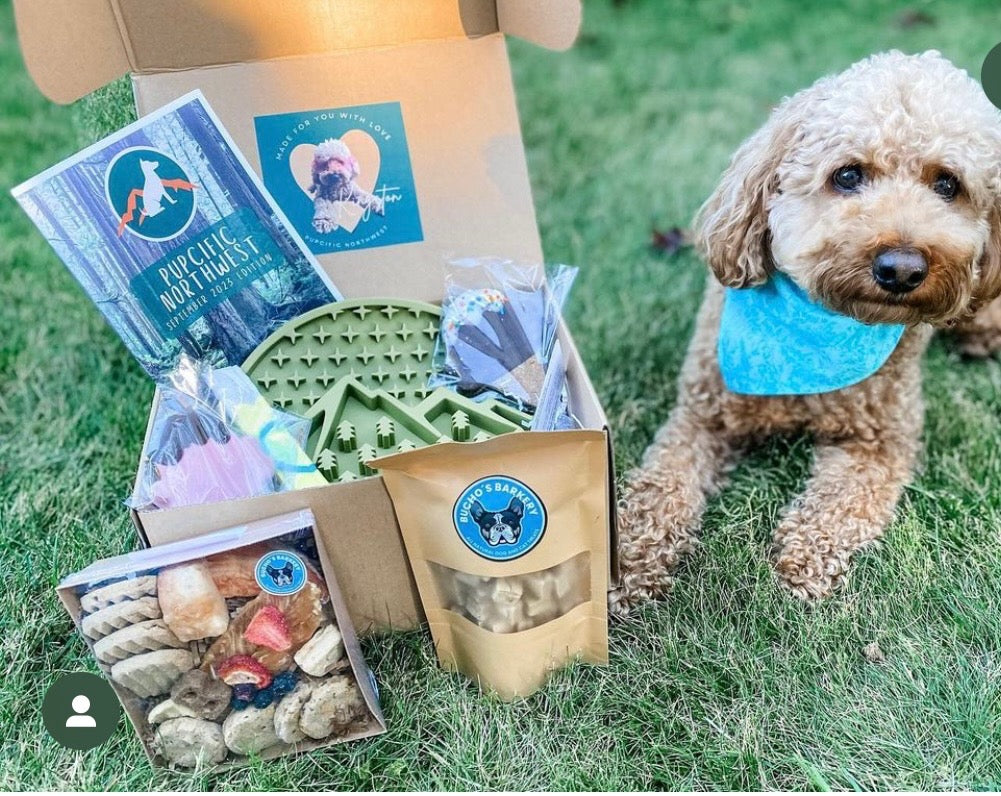 Pupcific Northwest Pup Pack: The Best Treats & Toys In The PNW